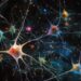 Hidden Dopamine Neurons Balance Brain Functions and Behavior