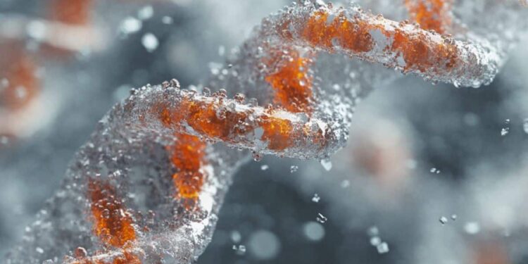 Gene Transfer Promotes Anti-Aging Effects