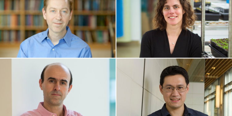 Four MIT faculty named 2024 HHMI Investigators