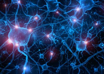 Scientists uncover a fundamental aspect of time perception