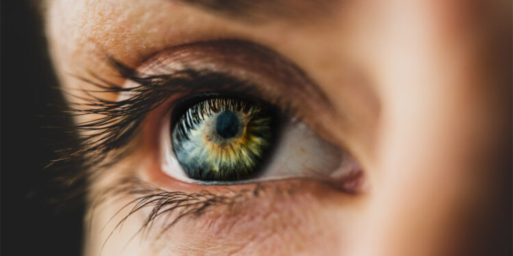 Brain implants to restore sight, like Neuralink’s Blindsight, face a fundamental problem