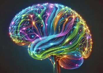 Daily habits like sleep and exercise can shape brain connectivity for weeks