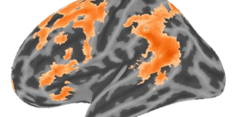 Personal interests can influence how children’s brains respond to language