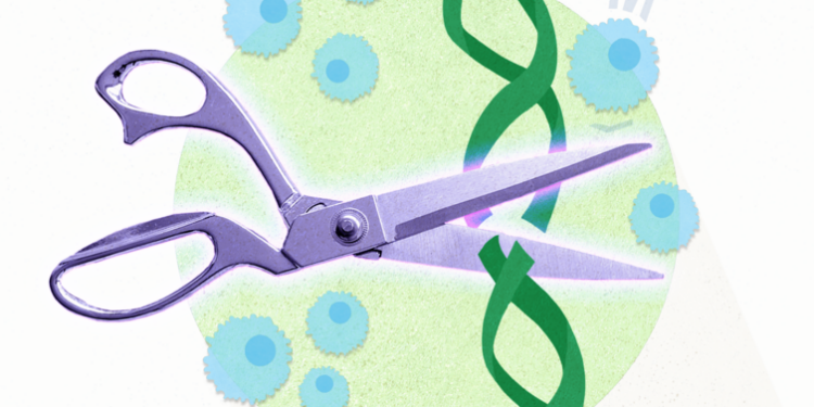 Scientists engineer CRISPR enzymes that evade the immune system