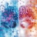 Microglia Act Differently in Male and Female Brains