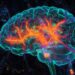 Key Neurons Linked to Autism and Schizophrenia Risk