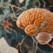 Low-Normal B12 Levels Linked to Slower Brain Processing
