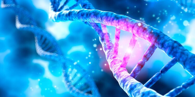 New study reveals genetic differences in mental performance