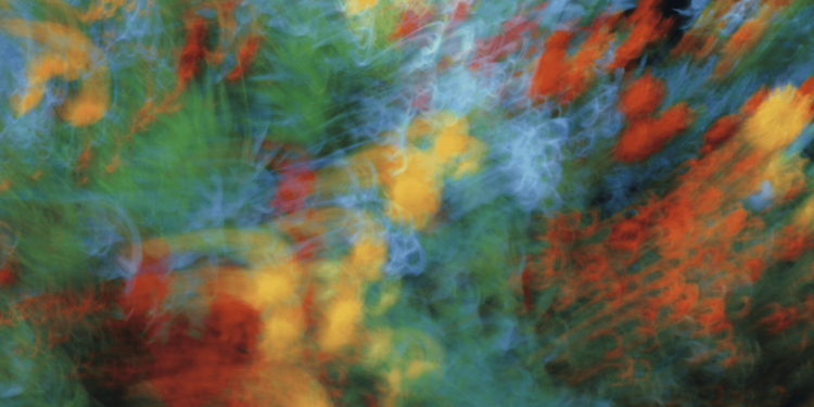 The Science behind Your Vivid Dreams (and How They Impact Sleep)