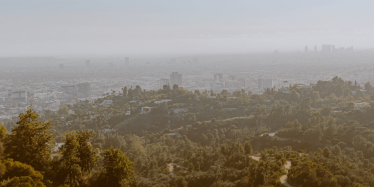 Are There Long-Term Side Effects of Breathing In Wildfire Smoke?