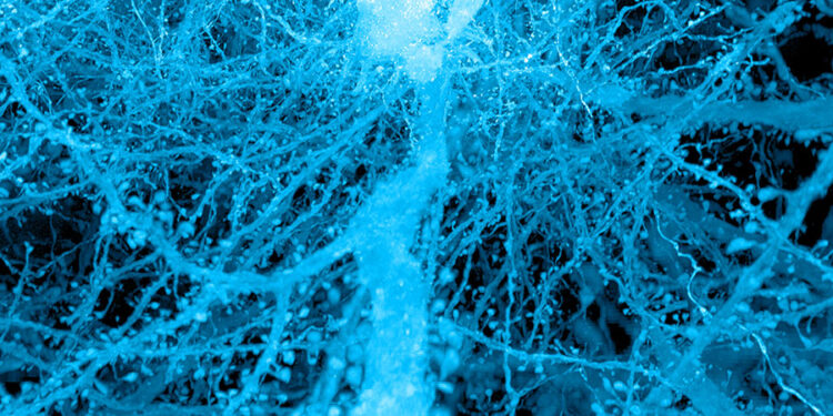 Ten years of bigger samples, better views