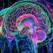 Schizophrenia Symptoms Linked to Unique Brain Structures
