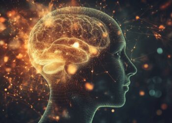 Brain’s Memory Maps Constantly Evolve to Capture Changing Experiences