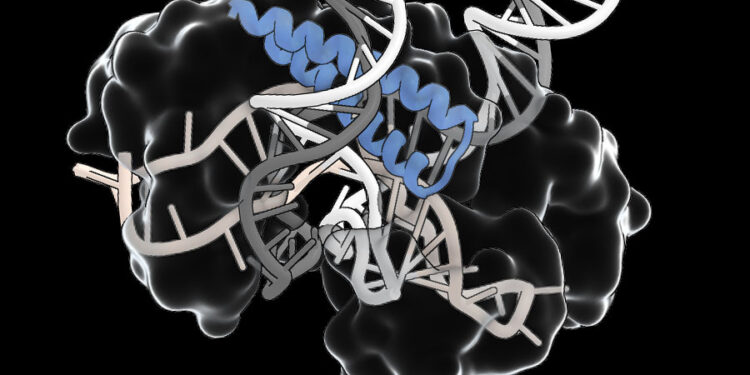 An ancient RNA-guided system could simplify delivery of gene editing therapies