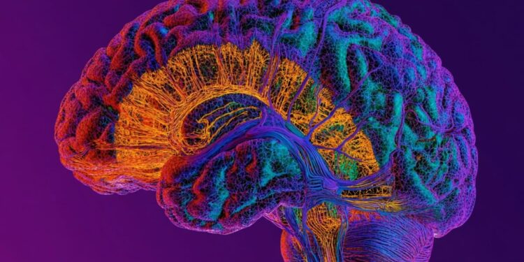 Neural Rewiring May Hold the Key to Psychosis Recovery