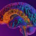 Neural Rewiring May Hold the Key to Psychosis Recovery
