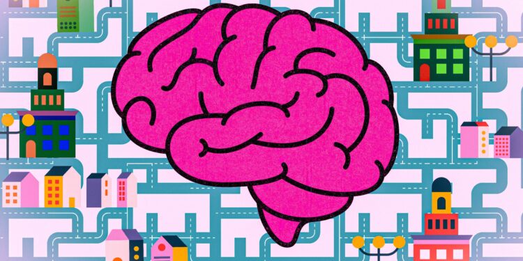 How the brain distinguishes between ambiguous hypotheses