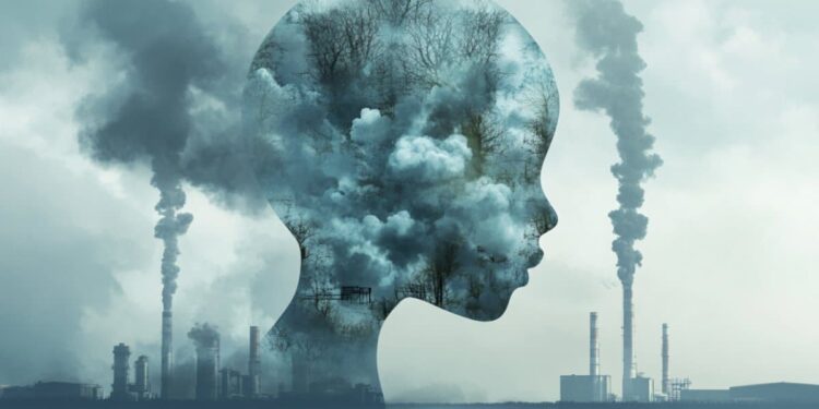 Air Pollution Alters Fetal Brain Structures