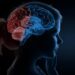 Brain Structure Differences Linked to Antisocial Traits in Psychopathy