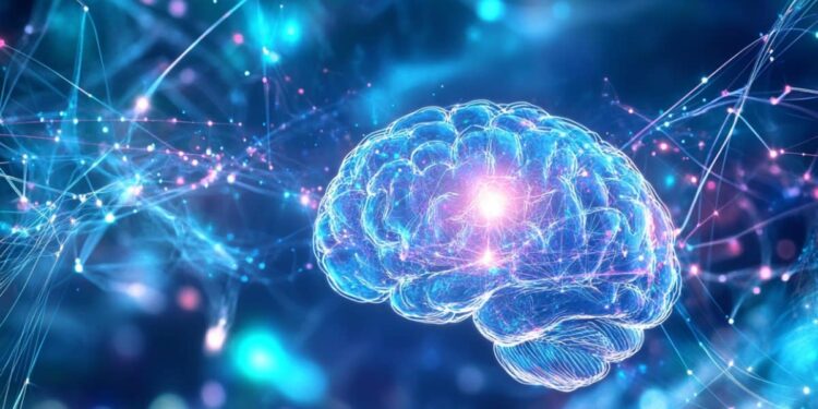 Brain Adapts to Neuron Loss Through Rapid Rewiring