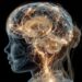 Brain Structure Differences in Children with ADHD Discovered