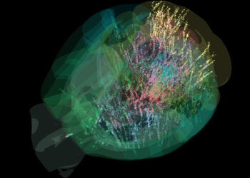 International neuroscience collaboration unveils comprehensive cellular-resolution map of brain activity