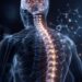 PET Tracer Maps Synapse Loss After Spinal Cord Injury