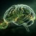 Genes Linked to Cannabis Use Reveal Ties to Mental Health