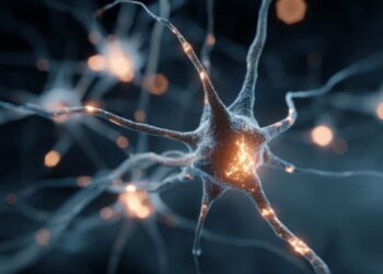 Brain Cells That May Prevent Schizophrenia Symptoms Identified