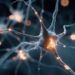 Brain Cells That May Prevent Schizophrenia Symptoms Identified