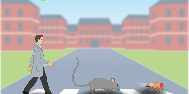 Staying stable – MIT McGovern Institute