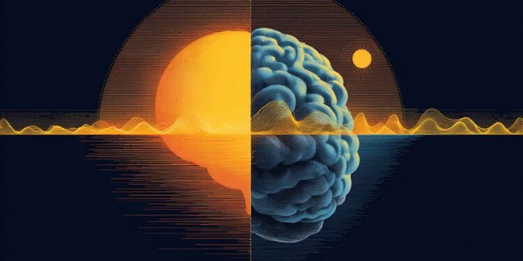 Brain Learning Power Peaks at Specific Times of Day