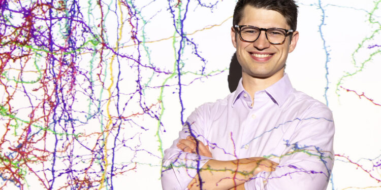 All the connections – MIT McGovern Institute