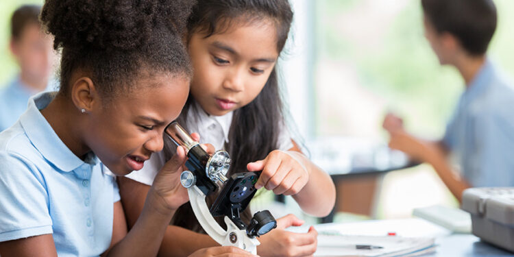 Learning from each other – MIT McGovern Institute