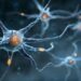 Immune Signal Ratio May Predict Progressive Multiple Sclerosis