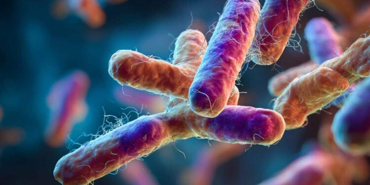 Is Your Oral Bacteria Influencing Multiple Sclerosis?