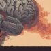 Why Some Brains Are Biologically Unable to Process Loss