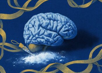 Cocaine Addiction is a Biological Rewiring, Not a Choice
