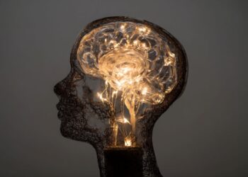 Brain Switch Identified for Unlearning Fear Faster