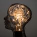 Brain Switch Identified for Unlearning Fear Faster