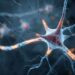Five High-Risk Neuron Groups Identified in ALS and FTD