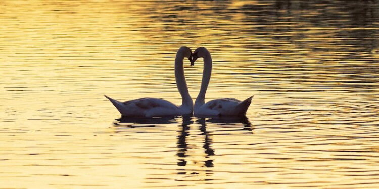 10 Tips to Heal Your Attachment Style
