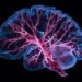 Decoding the Metabolic Roots of Bipolar Disorder